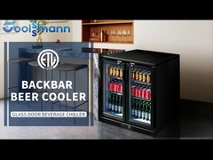 COOLSSMANN pendingin B5 pintu ganda backbar dingin bir