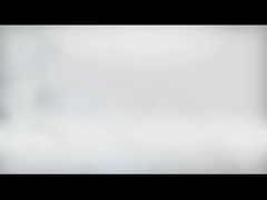 COOLSSMANN D1 Pengering daging